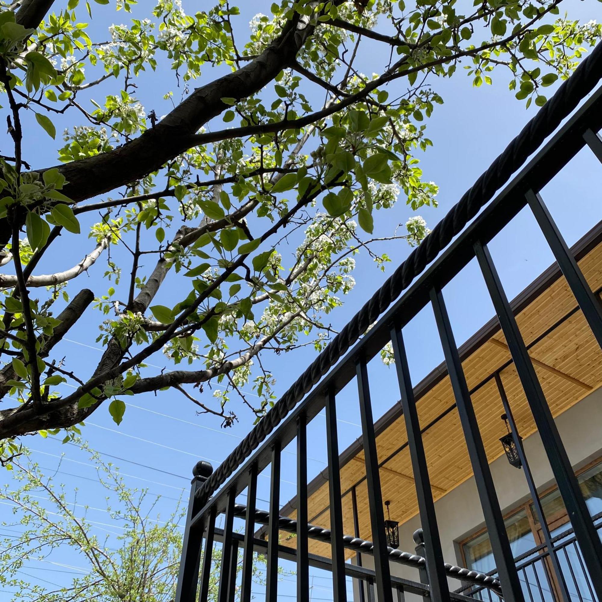 Nur Guest House Gjoumri Kültér fotó
